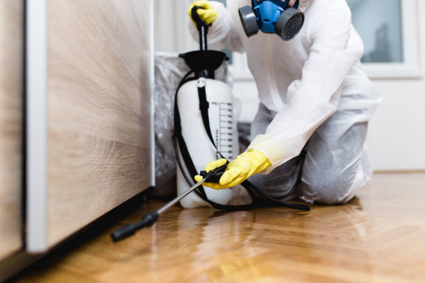 Best Best Pest Control Companies  in Spring Lake, NC