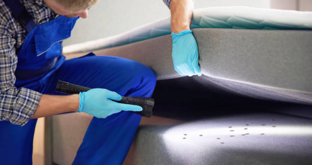 Pest Control Cost in Spring Lake, NC